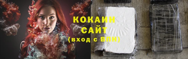 амф Богданович