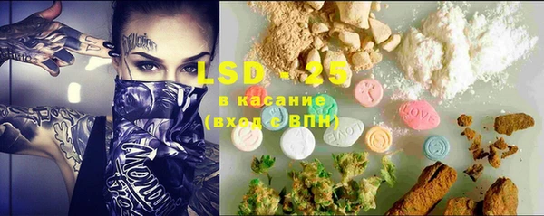 амф Богданович